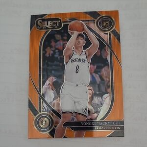 Panini Black and Gold Brooklyn Nets Card Back